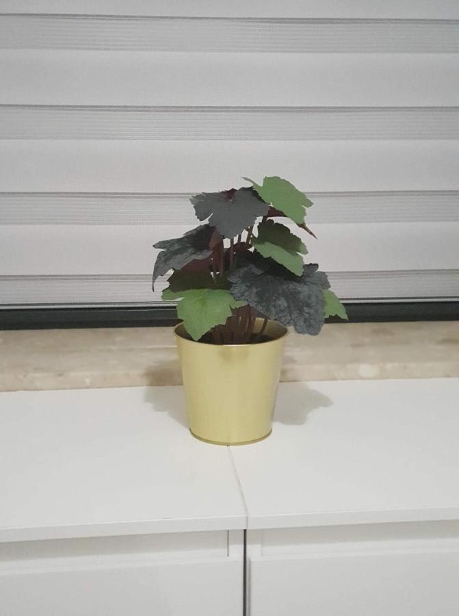 Apartament Krakow Arena No 76 エクステリア 写真